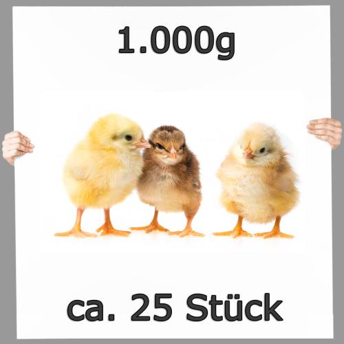 Eintagsküken 1 kg ca. 25 Stück