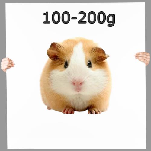 Meerschweinchen - Frostfutter nahrhaft ▪ 100-200g