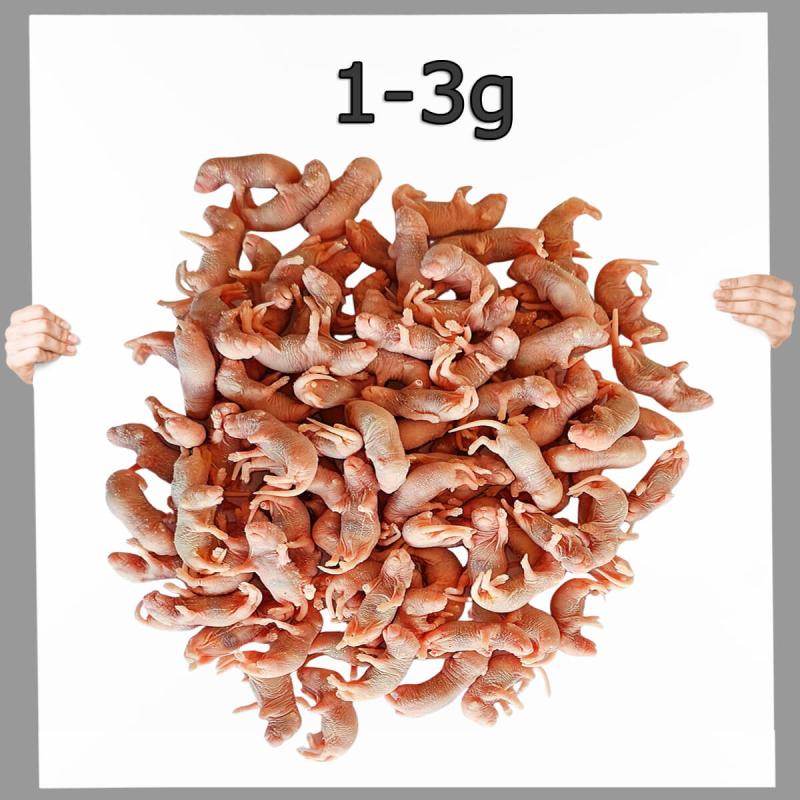 Frostfutter  Babymaus 1-2 Tage 100 Stück