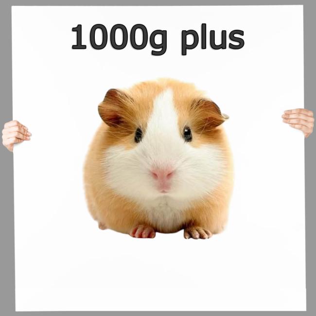 Meerschweinchen - Frostfutter nahrhaft ▪ 1000g plus