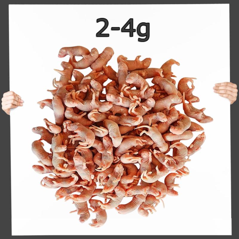 Frostfutter Maus Specky 3-4 Tage 25 Stück
