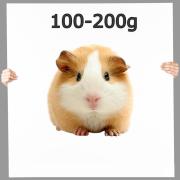 Meerschweinchen - Frostfutter nahrhaft ▪ 100-200g