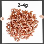 Frostfutter Maus Specky 3-4 Tage 25 Stück