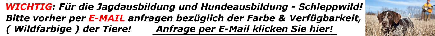 E-Mail Anfrage Schleppwild für die Hundeausbildung