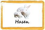 Hasen & Kaninchen als Schleppwild Ihr Frostfutter Spezialist