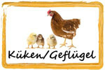 Küken & Geflügel Frostfutter Spezialist für Reptilien & Frettchen