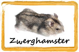Frostfutter Hamster / Zwerghamster